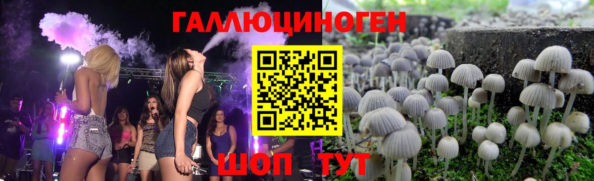 Галлюциногенные грибы мицелий  как найти   Советск  Псилоцибиновые грибы мицелий  Вход с VPN 